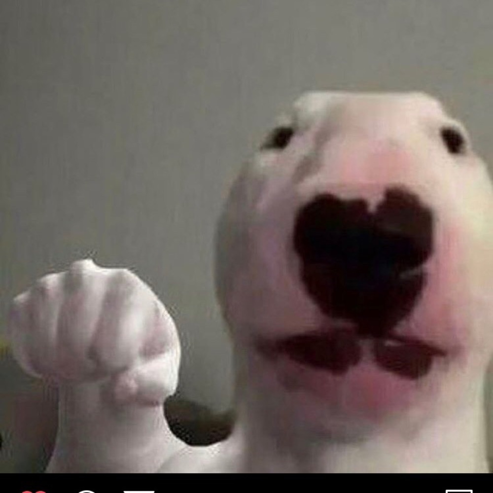 Meet your Posher, Beth